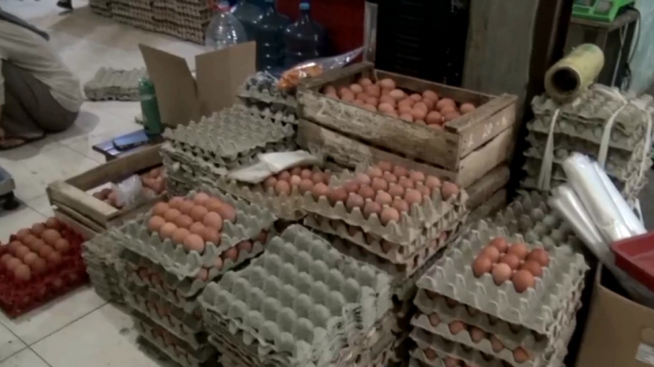 Distributor telur ayam PT Amalia Bintang asal Kampung Utan, Desa Cibuntu, Kecamatan Cibitung, Kabupaten Bekasi, Jawa Barat. (ANTARA/Pradita Kurniawan Syah).