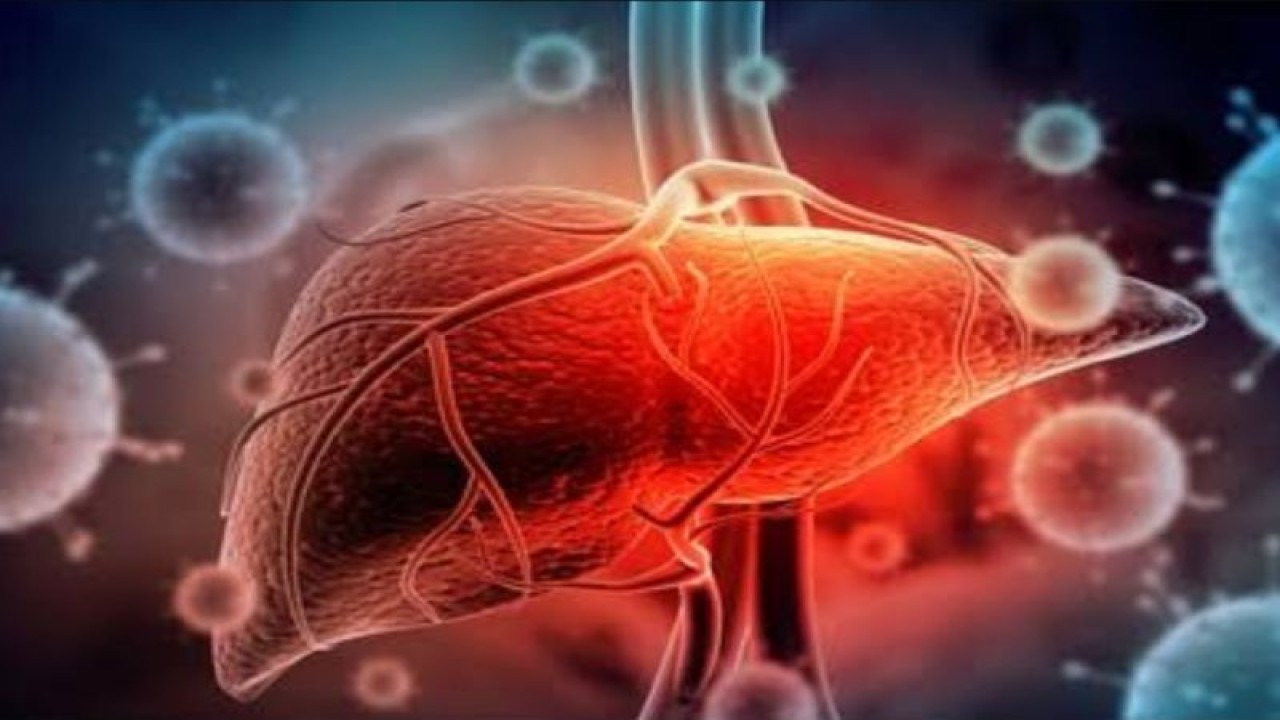 Ilustrasi - Hepatitis. (ANTARA/HO-Sutterstock)