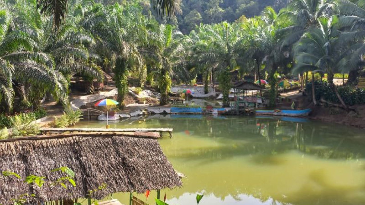 Pemanfaatan HKm di Kabupaten Bangka, Babel, untuk objek wisata Eco Park (FOTO ANTARA/Kasmono)