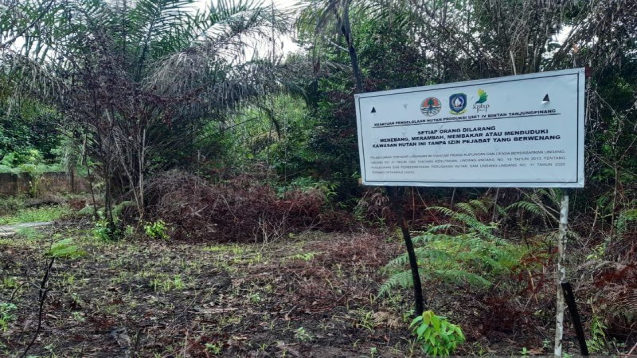 Penyidik polisi kehutanan pada Kesatuan Pengelolaan Hutan Produksi IV Bintan-Tanjungpinang, Provinsi Kepri, Rabu (28/12/2022) memasang plang berisi larang mengelola hutan lindung di Gunung Lengkuas, Kabupaten Bintan yang saat ini dalam kondisi rusak. (FOTO ANTARA/Nikolas Panama)