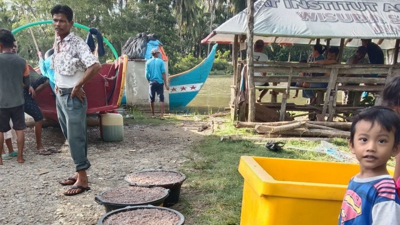 Ikan hasil tangkapan nelayan Pantai Indah Mukomuko, Kabupaten Mukomuko, Sabtu (12/11/2022) ANTARA/Ferri.