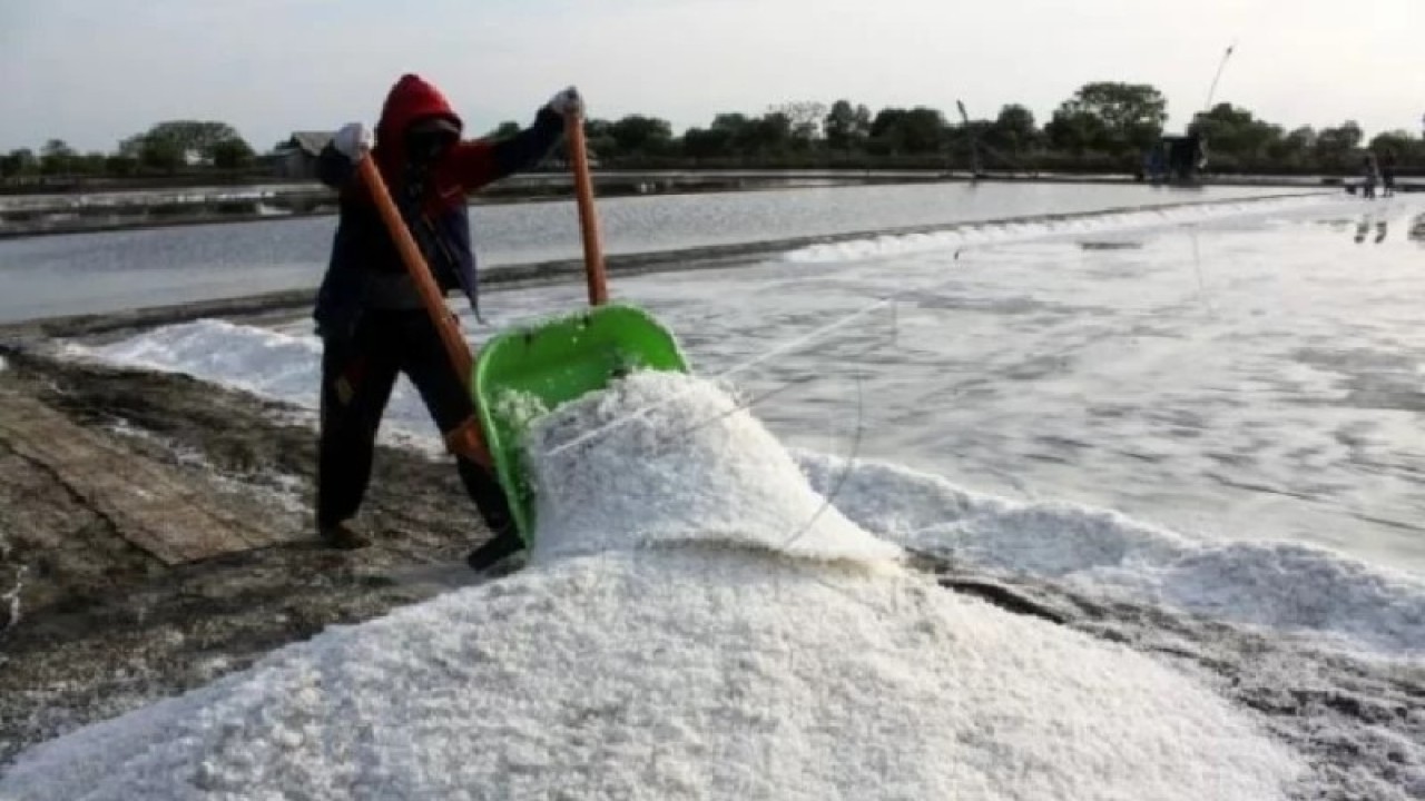 Ilustrasi - petani garam (ANTARA FOTO/Umarul Faruq)