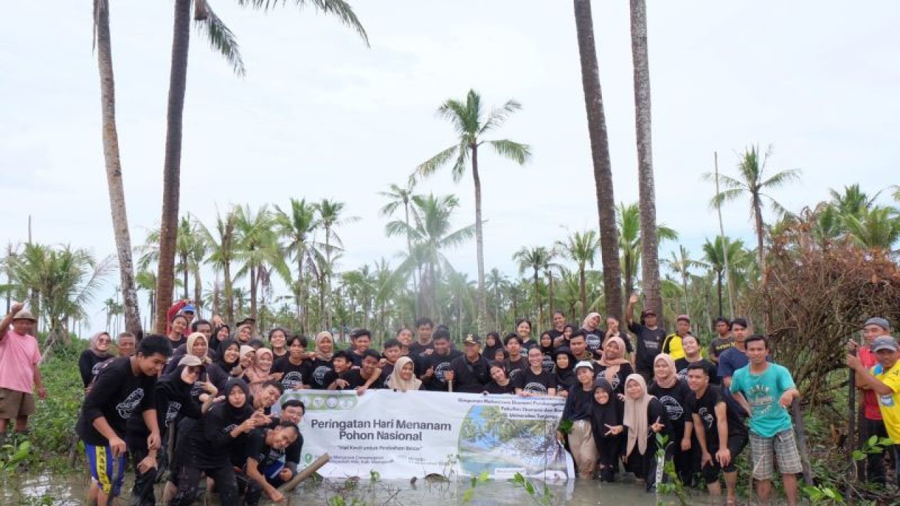 Aksi tanam 2.000 bakau memeringati Hari Menanam Pohon Nasional 2022 yang Himpunan Mahasiswa Ekonomi Pembangunan (HIMEPA), Universitas Tanjungpura (Untan), Pontianak di Kelurahan Tanjung, Kabupaten Mempawah, Kalbar, Senin (5/12/2022). (FOTO ANTARA/Dedi)