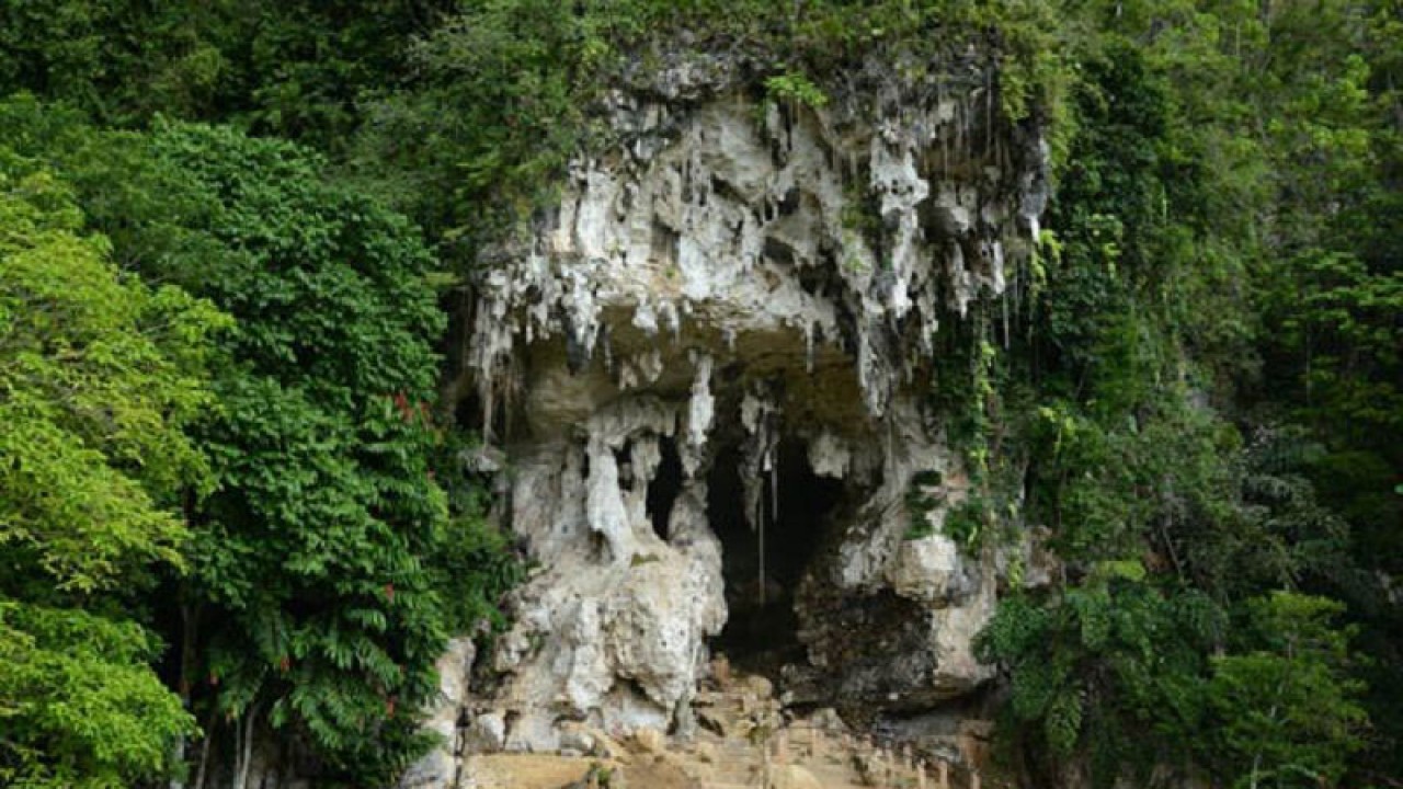 Gua Liang Bangkai di Kabupaten Tanah Bumbu, Kalimantan Selatan. (ANTARA/HO-BP Geopark Meratus)