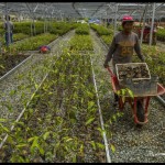Kalimantan Timur-1670405343