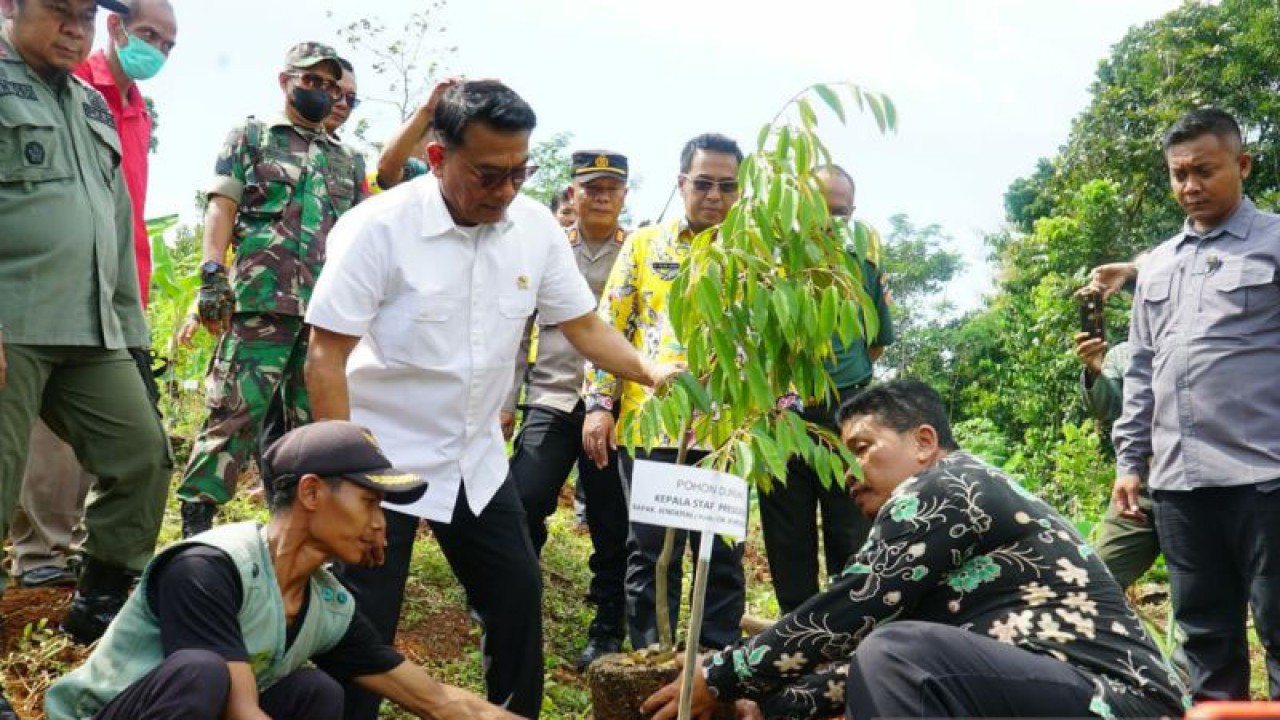 Kepala Staf Kepresidenan Moeldoko menanam bibit durian bawor unggul di Desa Bukur, Kecamatan Bojong, Kabupaten Pekalongan, Jawa Tengah, Rabu (28/12). (ANTARA/HO-Kantor Staf Presiden)