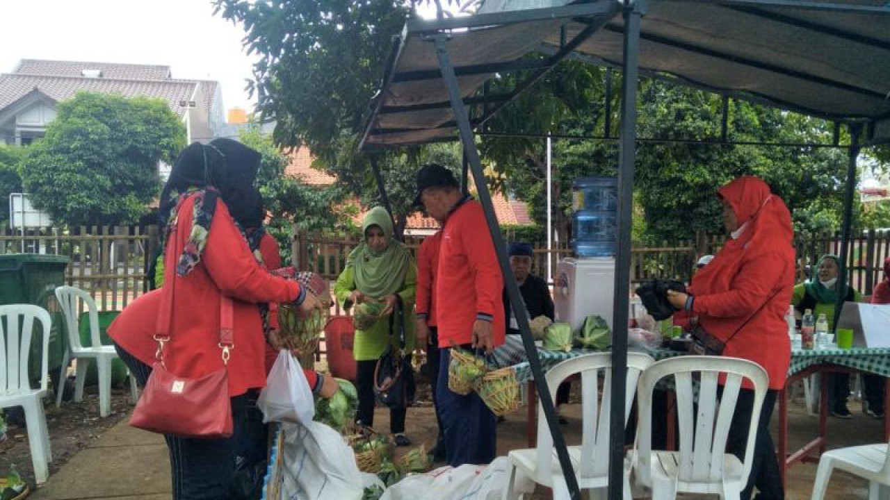 Warga memanen kubis hasil urban farming di Duren Sawit, Jakarta, Selasa (27/12/2022). ANTARA/HO-Sudin KPKP Jakarta Timur