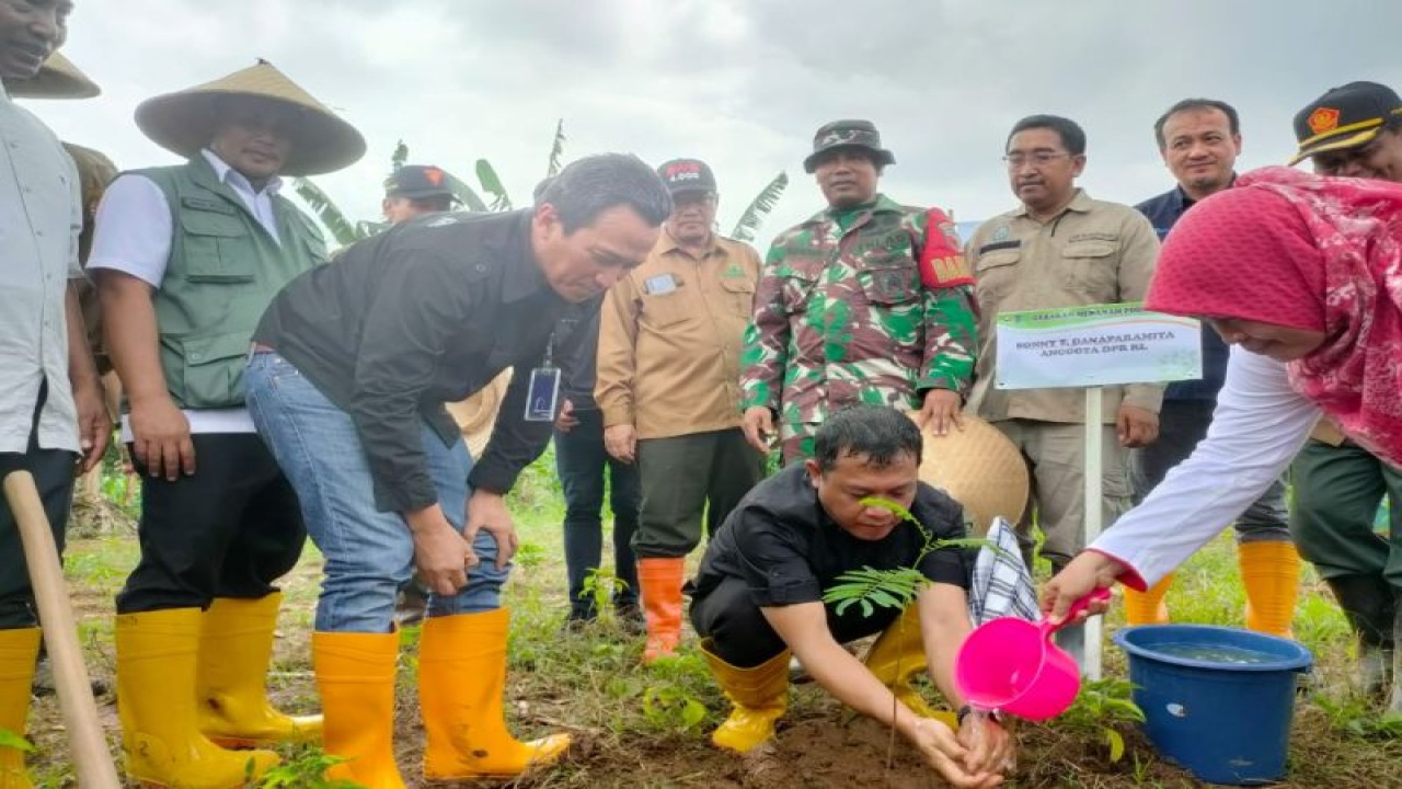 Penanaman pohon oleh Perhutani bersama anggota legislatif. ANTARA/HO-Perhutani Jatim