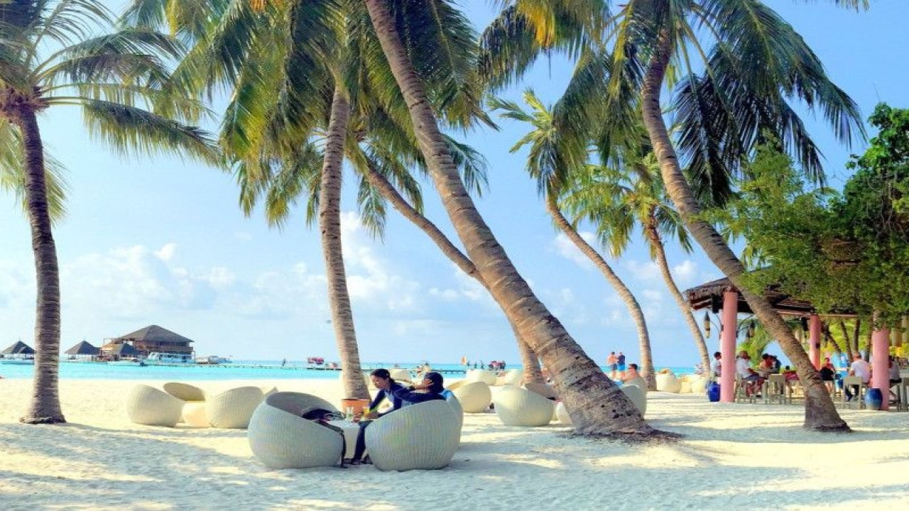 Ilustrasi wisatawan menikmati liburan (Pixabay)