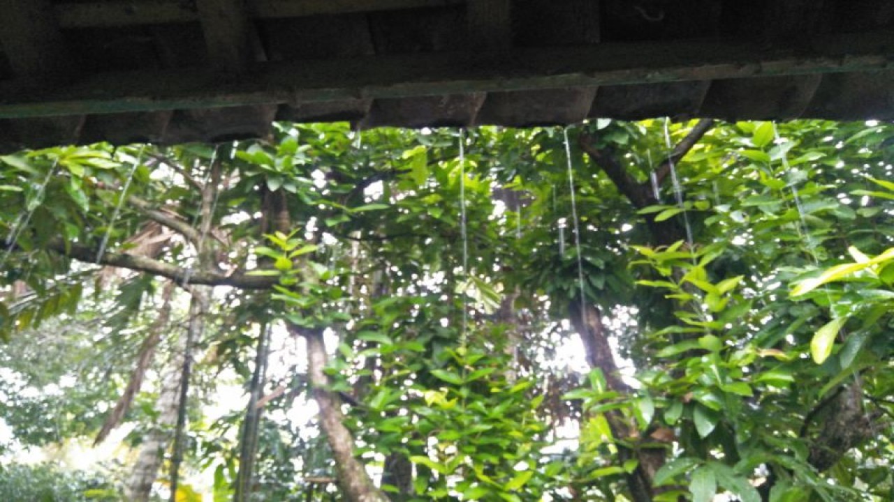 Air hujan jatuh dari atap rumah warga di wilayah Lombok Tengah, NTB (ANTARA/Akhyar)