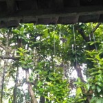 Lombok-1671858919