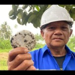 Menuju pertambangan emas skala kecil bebas merkuri di Indonesia-1671165814