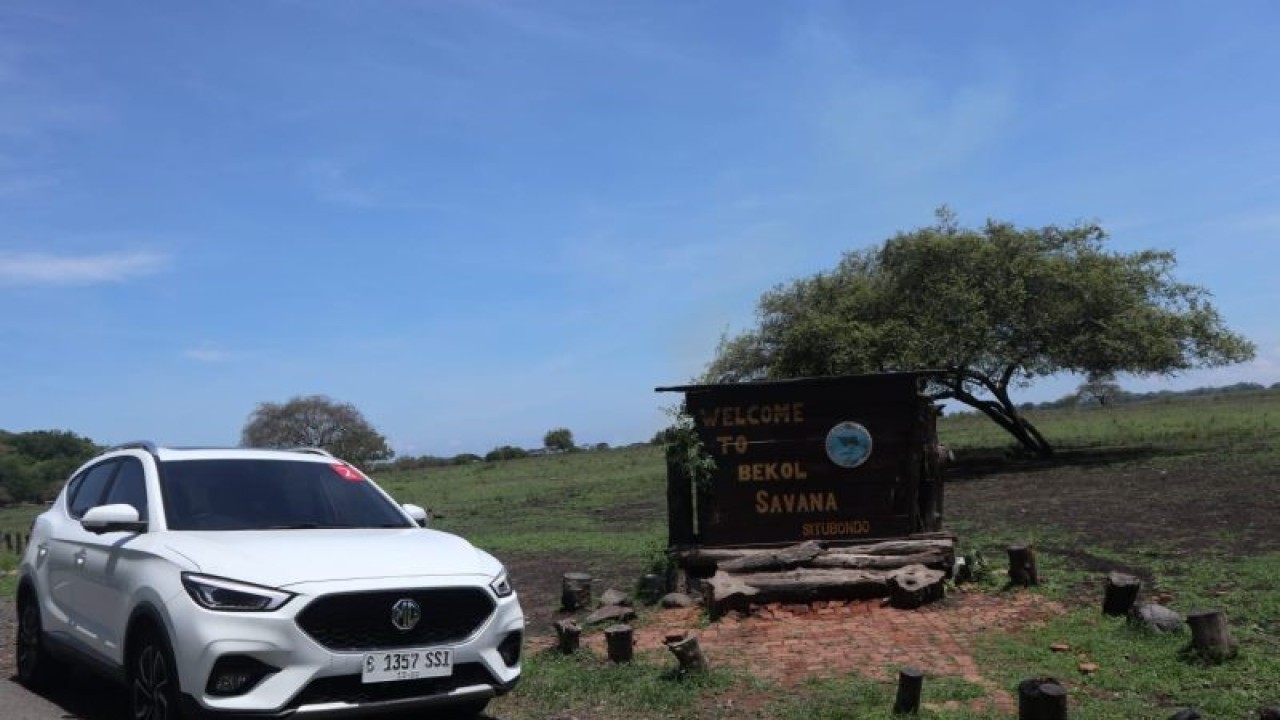 MG ZS saat difoto di kawasan Taman Nasional Baluran, Situbondo, Jawa Timur, Rabu (7/12/2022). (ANTARA/Arnidhya Nur Zhafira)