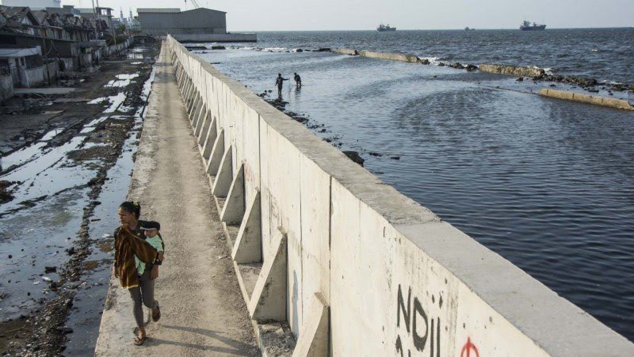 Warga berjalan kaki melintasi tanggul di kawasan pesisir Muara Baru, Penjaringan, Jakarta. (Dok ANTARA)