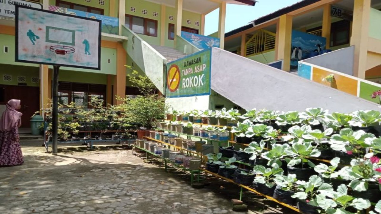 Ilustrasi: program taman sayur dan cabai di SDN 9 Mataram di Karang Baru sebagai salah satu pemanfaatan lahan pekarangan yang juga bagian mendukung Germas (Gerakan Masyarakat Hidup Sehat) di Kota Mataram, Provinsi Nusa Tenggara Barat. (Foto: ANTARA/Nirkomala)