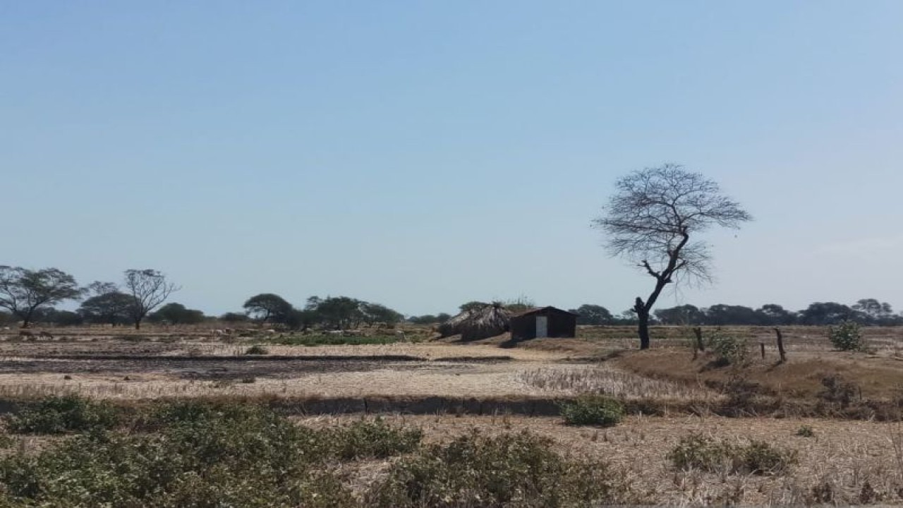 Ilustrasi - Lahan pertanian yang kering ketika belum diguyur hujan di wilayah Kabupaten Kupang, NTT. (ANTARA/Aloysius Lewokeda)