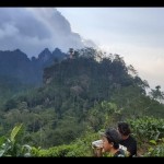 Objek wisata Kebun Teh Nglinggo, Kabupaten Kulon Progo. (ANTARA/Sutarmi)-1670233623