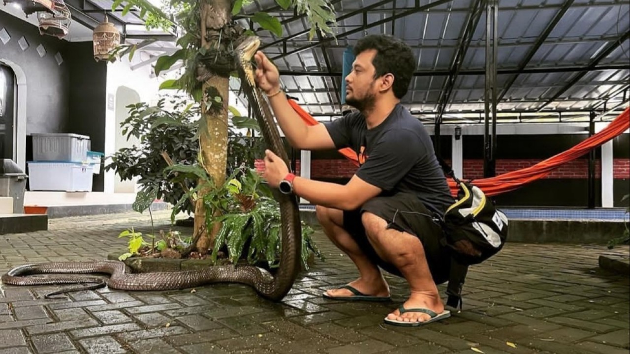 Panji Petualang/Instagram