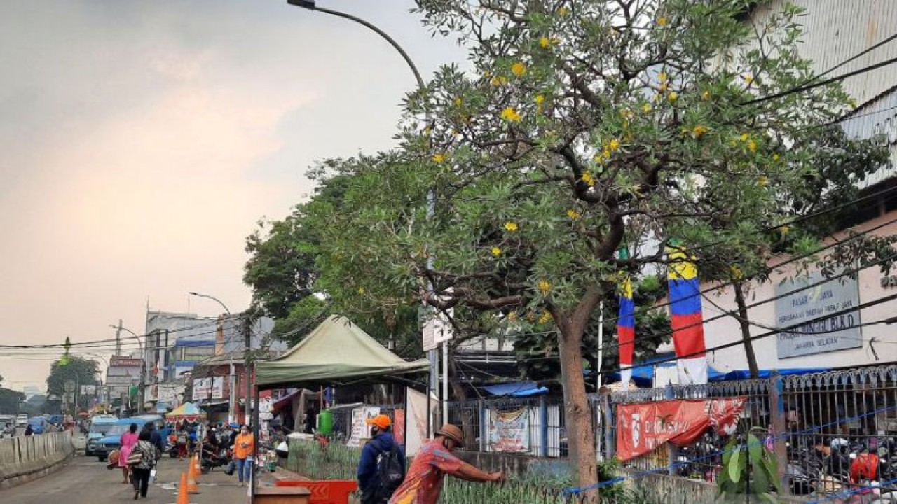 Ilustrasi kondisi jalan di kawasan Pasar Minggu, Jakarta Selatan setelah dilakukan penataan pedagang untuk masuk ke dalam pasar, Kamis (3/9/2020) ANTARA/Laily Rahmawaty