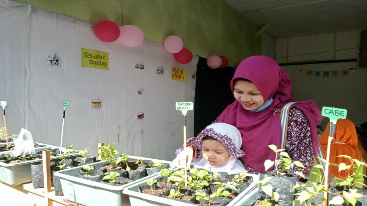 Ilustrasi - Belajar bercocok taman serta mengenal jenis tanaman menjadi salah satu kegiatan di PAUD Umar Al Faruq Kota Mataram, Provinsi Nusa Tenggara Barat, dalam mengisi kegiatan jelang libur sekolah sekaligus semarakkan Hari Ibu 22 Desember 2022. (ANTARA/Nirkomala)