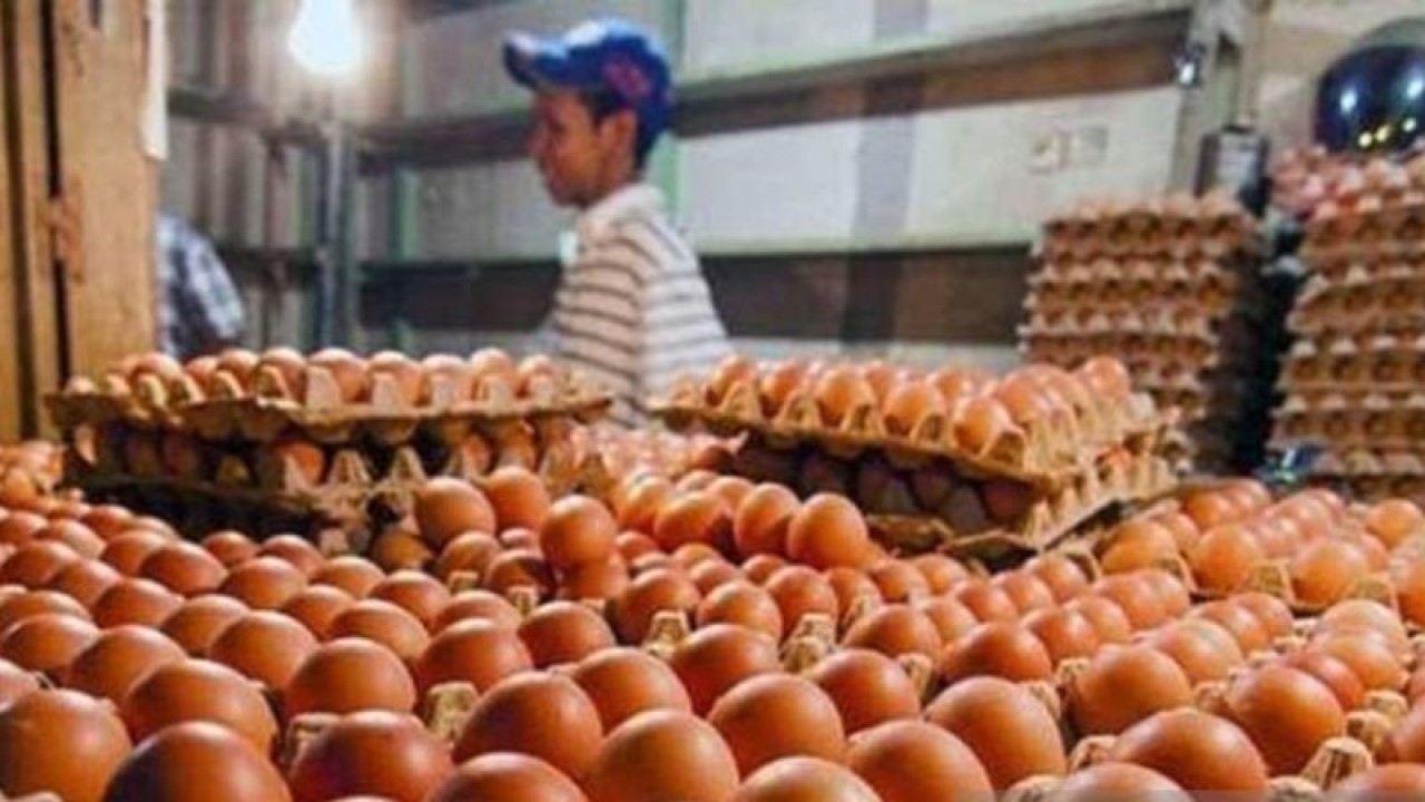 Pedagang telur yang berjualan di Pasar Beringin Singkawang (istimewa)