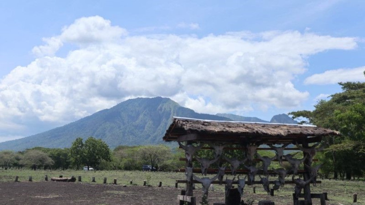 Pemandangan di kawasan Taman Nasional Baluran, Situbondo, Jawa Timur, Rabu (7/12/2022). (ANTARA/Arnidhya Nur Zhafira)