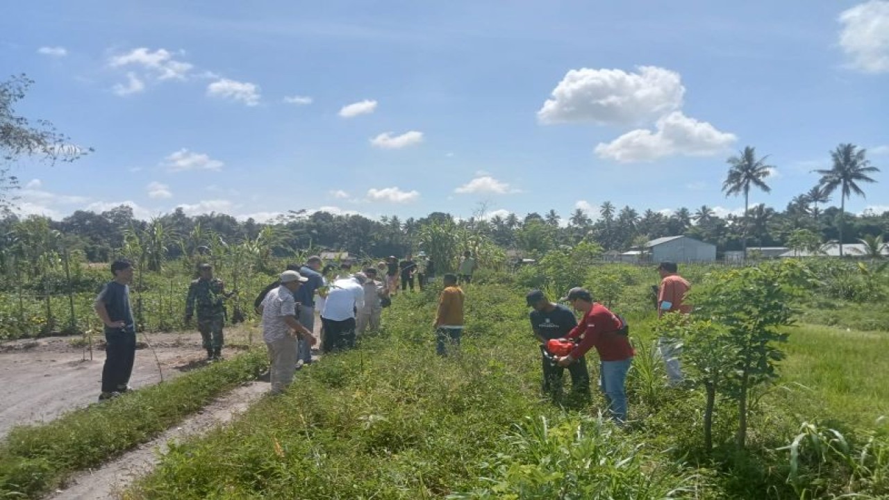 Pemerintah desa bersama warga saat melakukan penanaman pohon kapuk di Desa Lantan, Kecamatan Batukliang Utara, Kabupaten Lombok Tengah, NTB. ANTARA/Akhyar