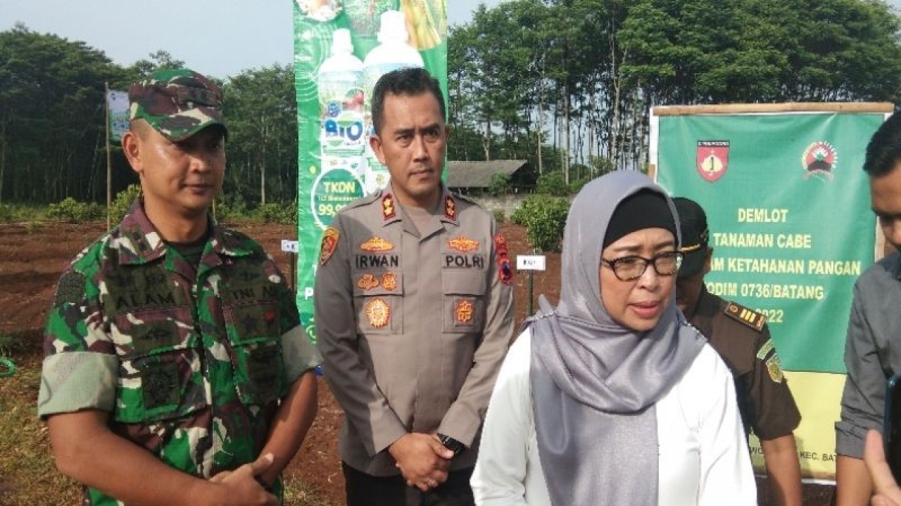 Penjabat Bupati Batang Lani Dwi Rejeki usai melakukan penanaman tanaman cabai dalam rangka membantu ketahanan pangan di daerah, Sabtu (24/12/2022). (ANTARA/Kutnadi)