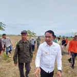 Pemkab Sigi salurkan 50.000 bibit pohon buah untuk petani-1672392703