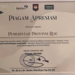 Pemrov Riau terima penghargaan kelembagaan yang baik konvergensi stunting dari BKKBN RI. Antara/HO-Humas BKKBN Riau.-1670382875