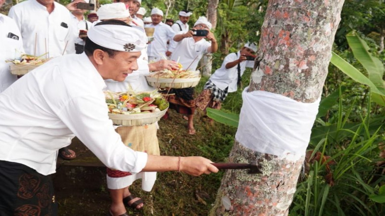 Penanaman bibit pohon oleh Bupati Karangasem I Gede Dana dalam rangka hari Tumpek Wariga di Karangasem, Bali, Sabtu (10/12/2022). ANTARA/HO-Pemkab Karangasem
