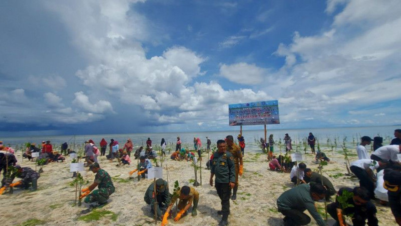 Penanaman pohon bakau bersama masyarakat dalam rangkaian acara Hari Nusantara di Wakatobi, Senin (12/12/2022). (ANTARA/Aditya Ramadhan)