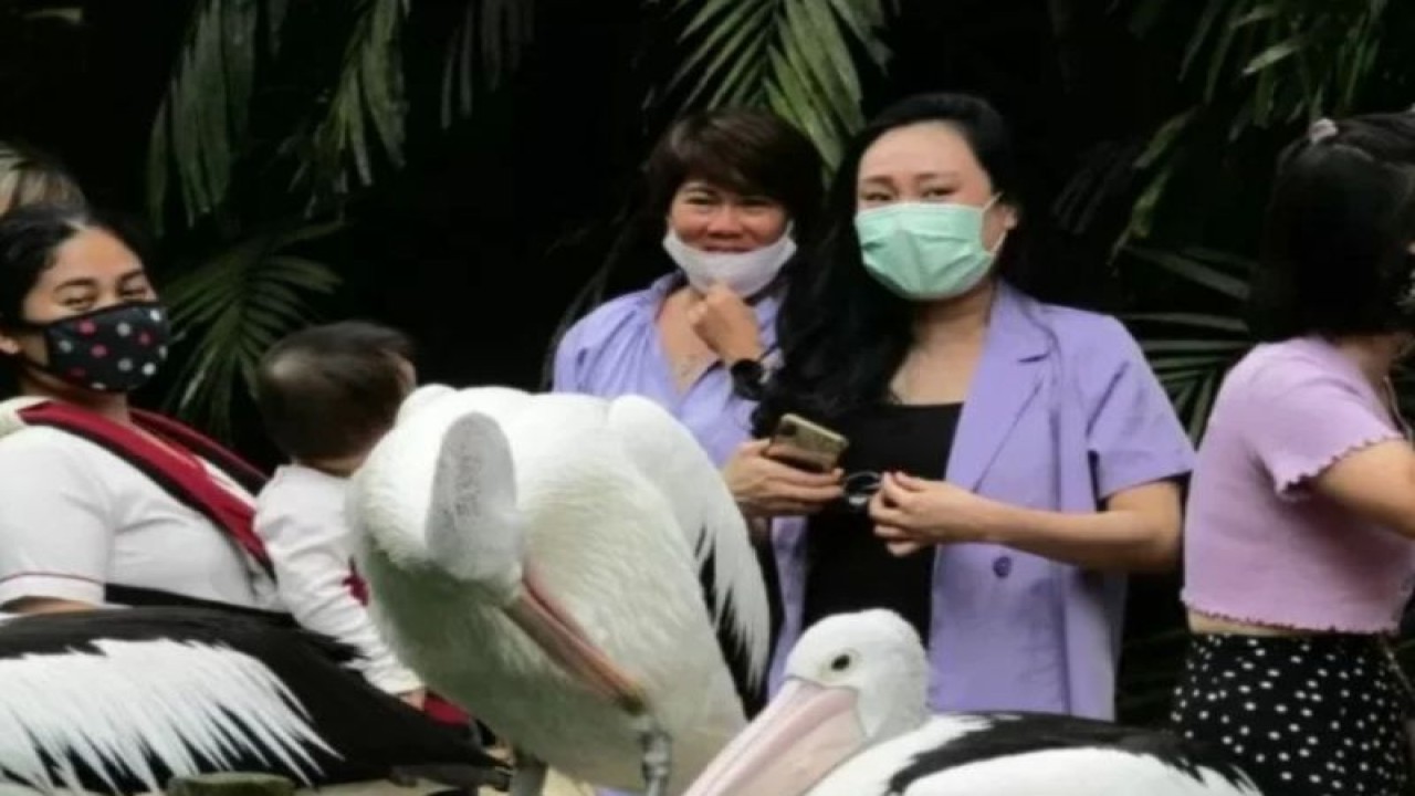 Dokumentasi- Pengunjung sedang berwisata di salah satu lokasi wisata di Kota Bandarlampung. (ANTARA/Dian Hadiyatna)