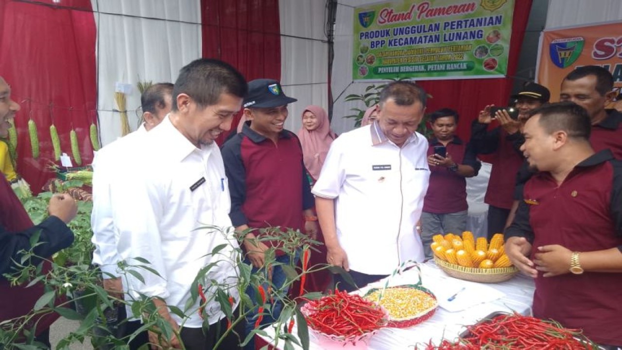 Bupati Kabupaten Pesisir Selatan, Rusma Yul Anwar (kanan) didampingi Kepala Dinas Pertanian Madrianto dan Asisten II Yozki Wandri saat meninjau cabai produksi petani setempat. (istimewa)