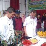 Pesisir Selatan Sumbar prioritaskan komoditas penyumbang inflasi-1670812776