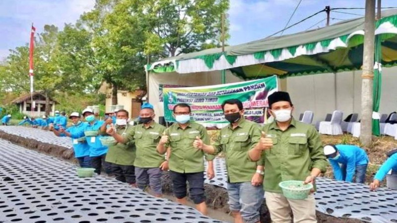 Petani milenial binaan Kadin Jatim (ANTARA/HO-Kadin Jatim)
