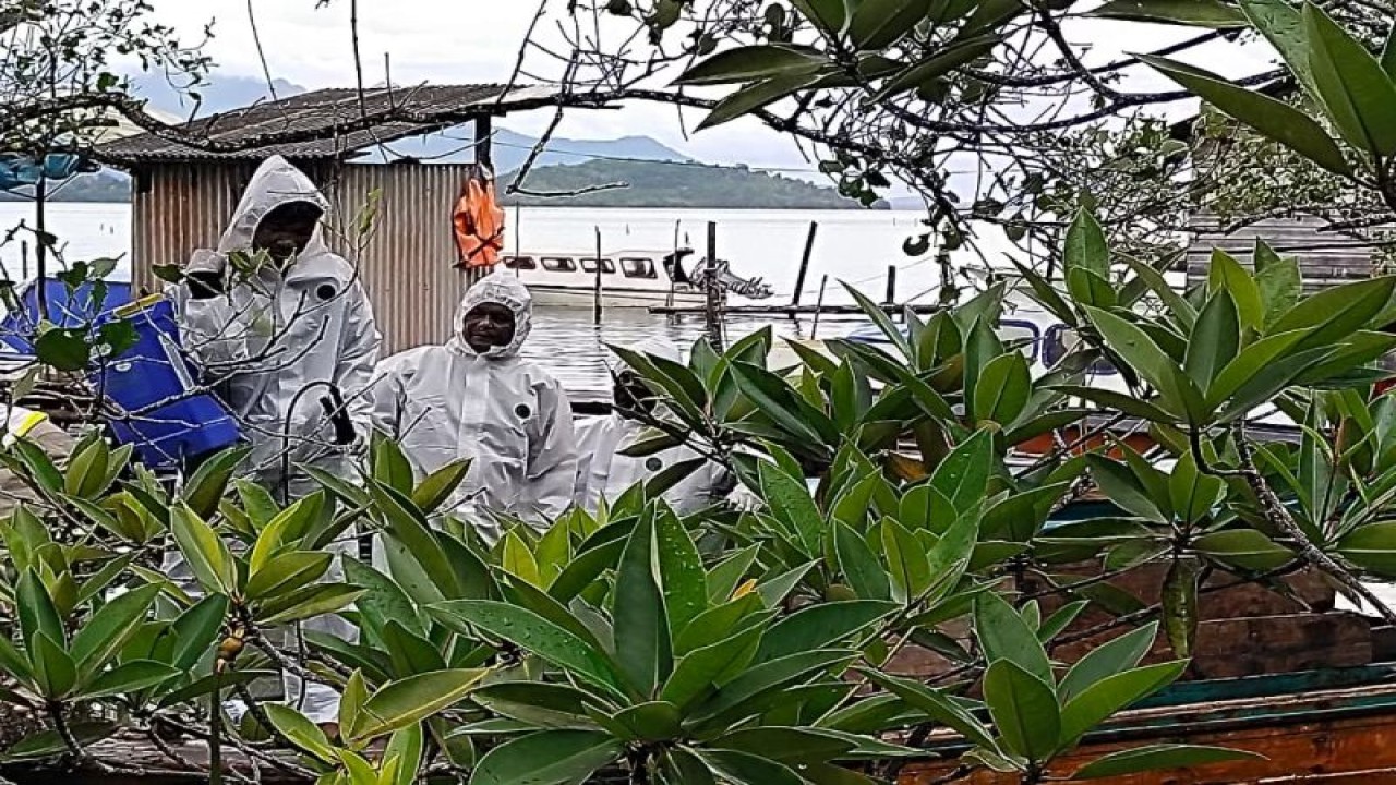 Petugas menyemprotkan pestisida ke pepohonan untuk mengatasi serbuan ulat bulu di Desa Jagoh, Kecamatan Singkep Barat, Kabupaten Lingga, Provinsi Kepulauan Riau. (ANTARA/HO Camat Singkep Barat)