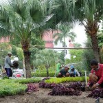 Petugas menata Taman Surya di halaman Balai Kota Surabaya, Jawa Timur, Rabu (14/12/2022). (ANTARA/HO-Diskominfo Surabaya)-1670987816