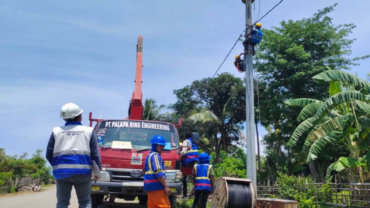 Petugas PLN menjalankan pekerjaan membangun jaringan listrik desa di NTT. (ANTARA/HO-Humas PLN UIW NTT)