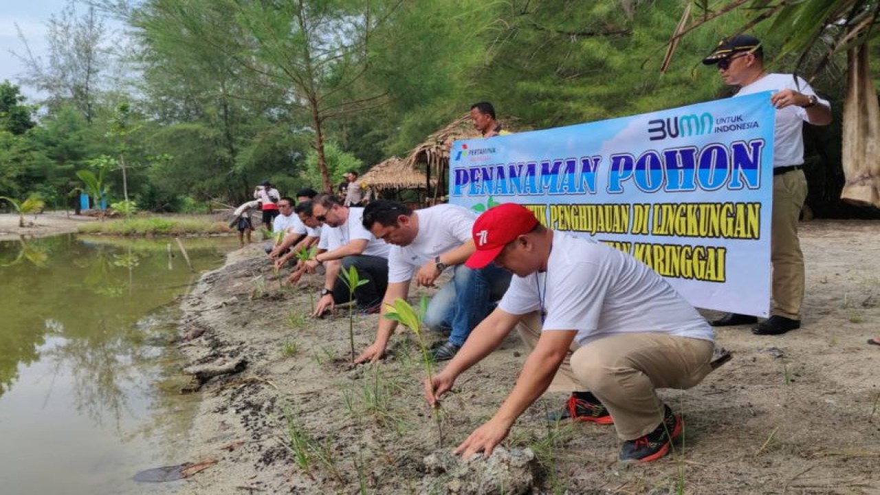 PGN tanam 1.000 pohon mangrove di kawasan objek wisata Pandan Alas (ANTARA/HO)