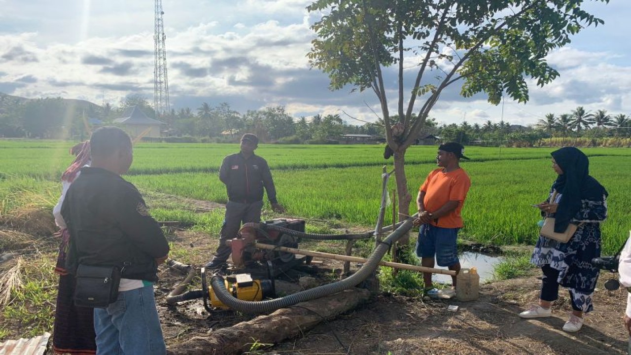 Sejumlah warga menyaksikan pengoperasian mesin pompa air sumber listrik PLN untuk mengarisi lahan persawahan di Kecamatan Magepanda, Kabupaten Sikka, Pulau Flores, NTT. (ANTARA/HO-Humas PLN UIW NTT)