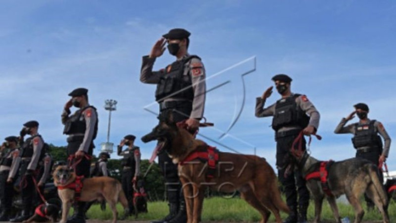 Sejumlah anggota Polisi Satwa (K-9) mengikuti apel Operasi Lilin 2022 di Makassar, Sulawesi Selatan, Kamis (22/12/2022). Sebanyak 4.580 personel gabungan disiagakan untuk pengamanan di wilayah Sulawesi Selatan guna memberikan rasa aman dan nyaman kepada masyarakat selama perayaan Natal 2022 dan Tahun Baru 2023. ANTARA FOTO/Arnas Padda