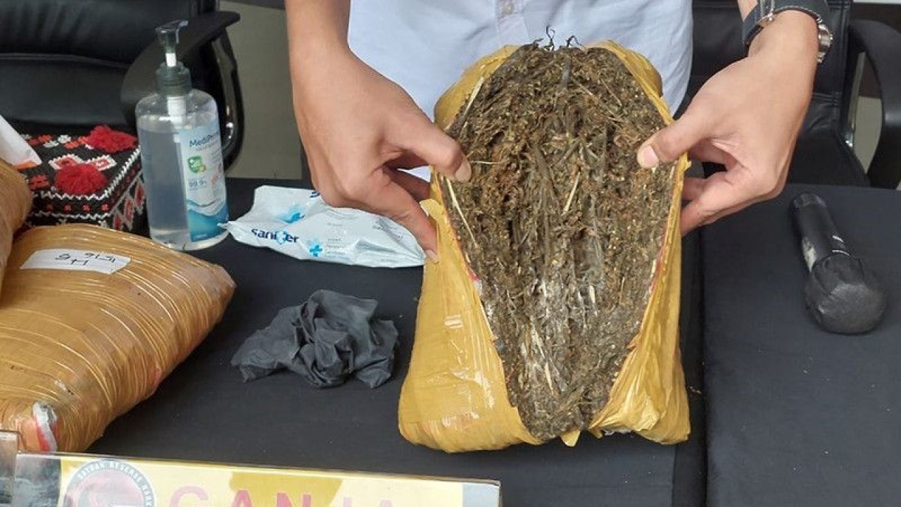 Petugas menunjukkan barang bukti ganja kering siap edar di Pulau Sumatera dan Jawa saat konferensi pers di Polres Metro Jakarta Barat, Rabu (15/6/2022). ANTARA/Walda MArison/aa.