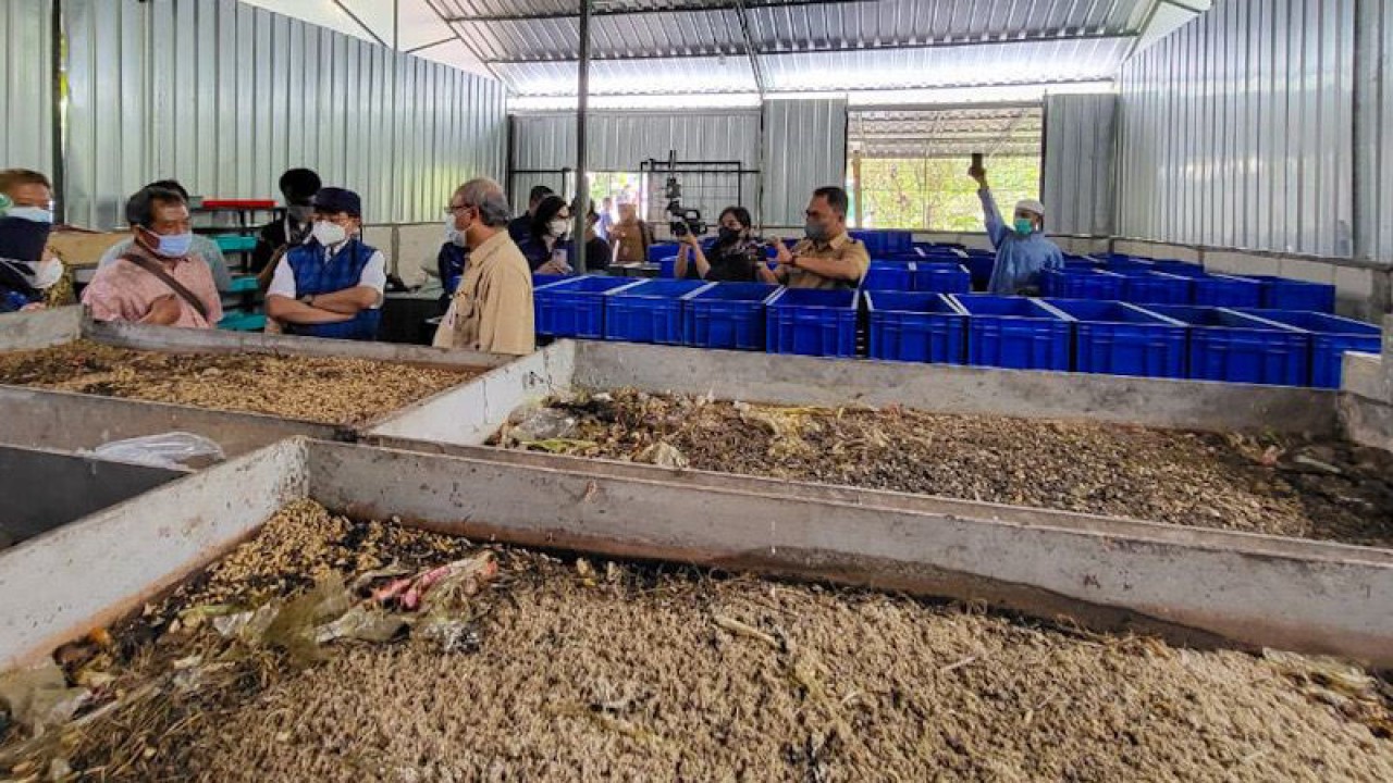 Dokumentasi - Salah satu metode pengolahan sampah organik dengan memanfaatkan maggot yang dilakukan di Kandang Maggot Jogja (21/09/2022). (ANTARA/Eka AR)