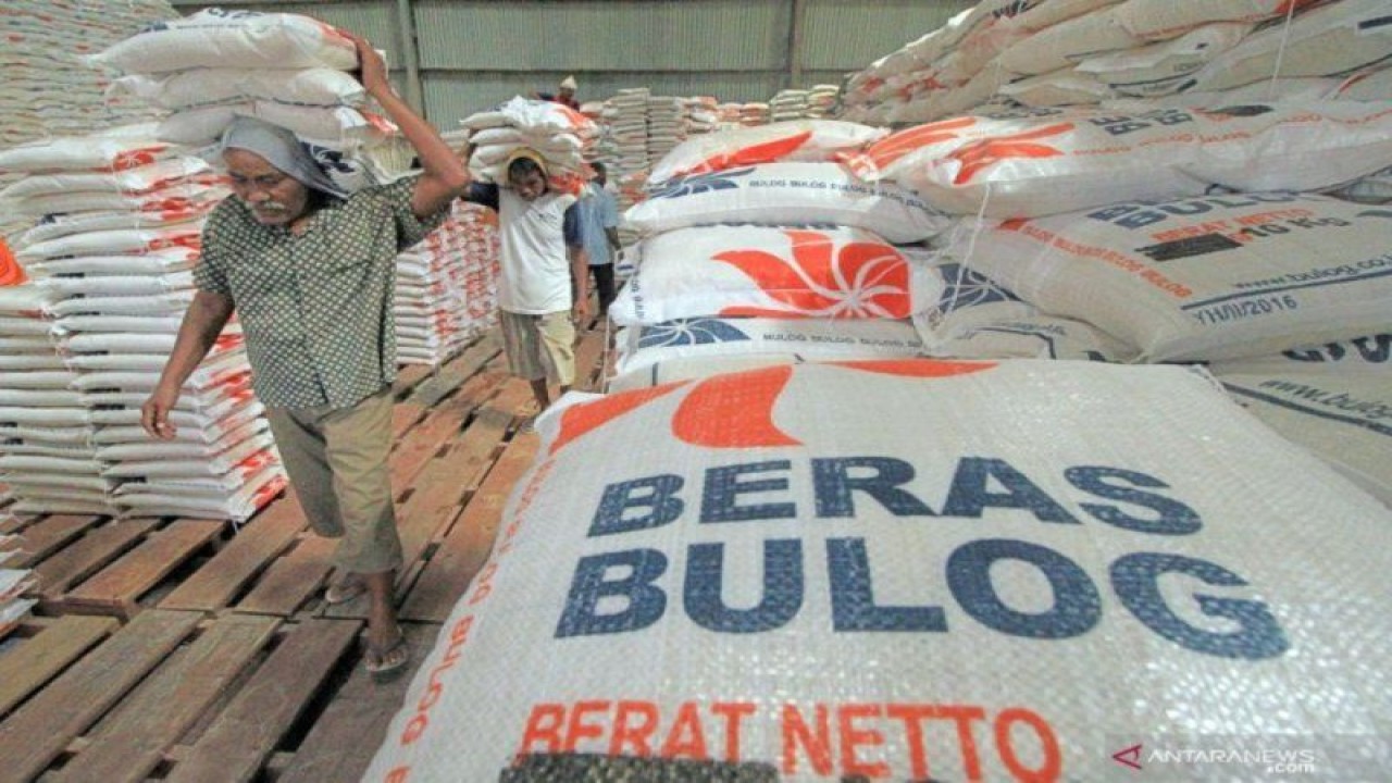 Sejumlah orang bekerja di gudang Bulog Riau. ANTARA