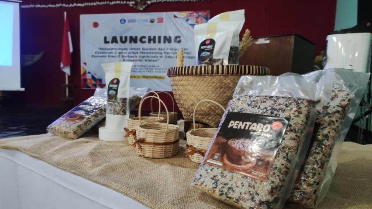 Produk Multigrain Rojolele hasil inovasi Tim Merdeka Belajar Kampus Merdeka (MBKM) D3 Agribisnis Sekolah Vokasi Universitas Sebelas Maret (SV UNS) Surakarta. ANTARA/HO-Humas UNS