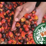 Sekretaris Eksekutif Gabungan Pengusaha Kelapa Sawit Indonesia (Gapki) Kalimantan Selatan H Hairuddin (antaranewskalsel.com/ist)-1672122094