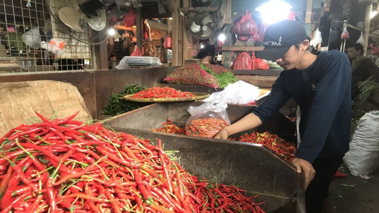 Seorang pedagang cabai sedang memilah cabai dagangannya di Pasar Senen, Jakarta, Jumat (23/12/2022). ANTARA/Kuntum Riswan