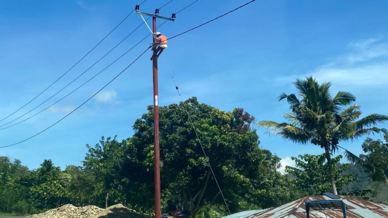 Seorang petugas PLN bekerja membangun jaringan listrik pedesaan di NTT. (ANTARA/HO-Humas PLN UIW NTT)