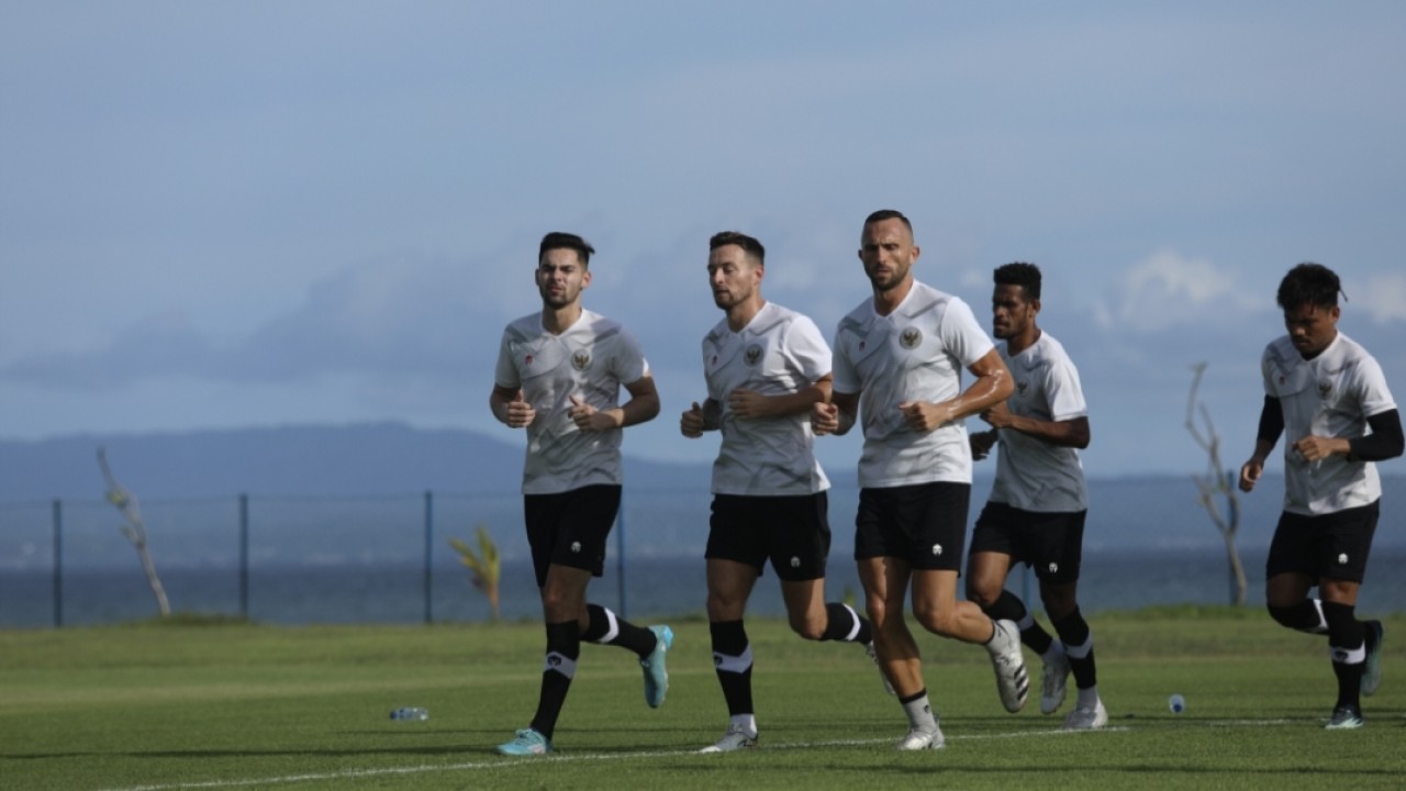 Skuad Timnas Indonesia